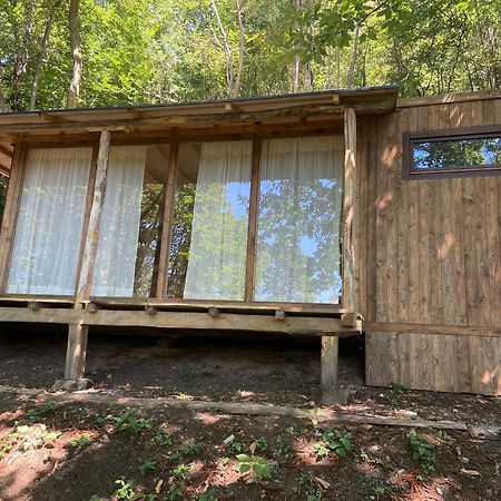 Suxen Nature Experience - Lodge Con Vista Panoramica Prepotto  Exterior photo