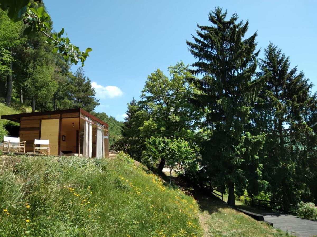 Suxen Nature Experience - Lodge Con Vista Panoramica Prepotto  Exterior photo